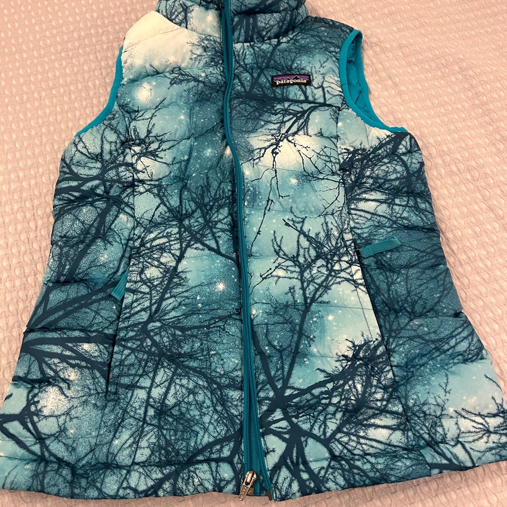 Patagonia Teal and White Puffer Vest